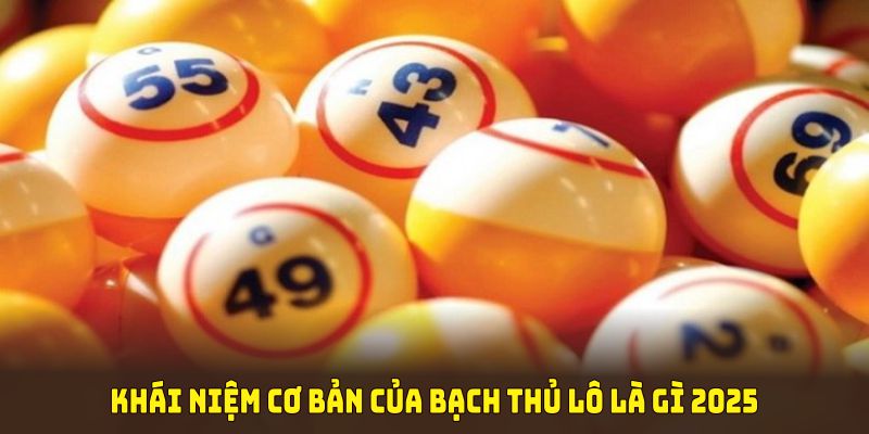 Khái niệm cơ bản của bạch thủ lô là gì 2025